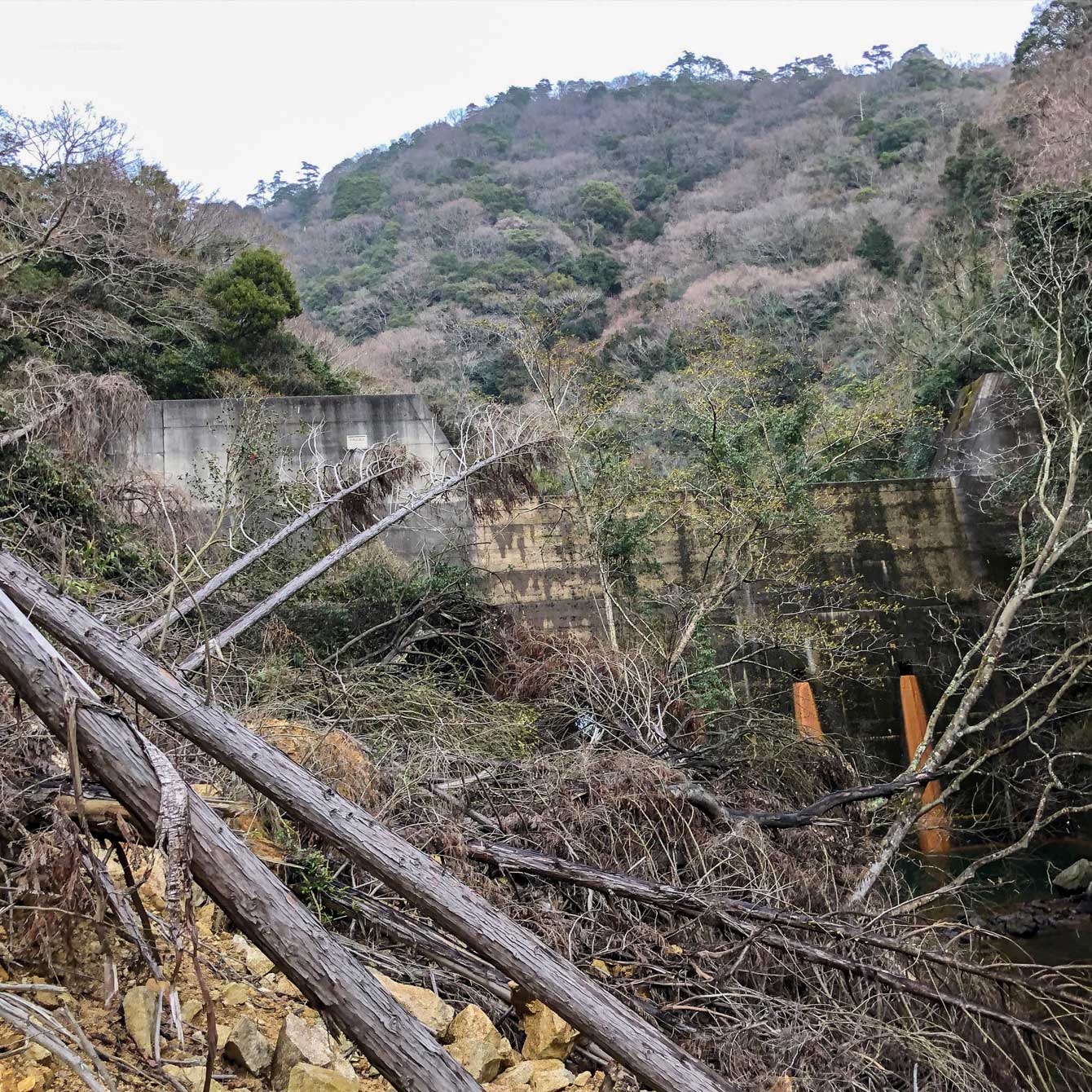 uas-landslide-survey
